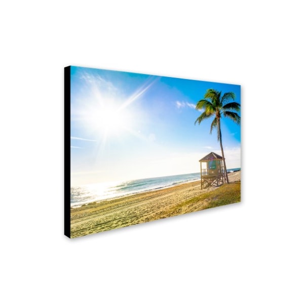 Preston 'Florida Beach Palm' Canvas Art,18x24